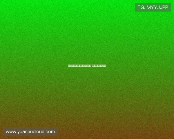 伊万：教练组多次讨论单双后腰问题 我有较大自主权来决定